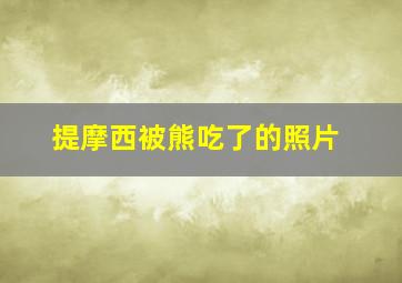 提摩西被熊吃了的照片