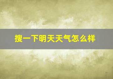 搜一下明天天气怎么样