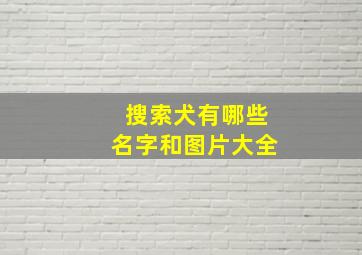 搜索犬有哪些名字和图片大全