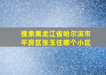 搜索黑龙江省哈尔滨市平房区张玉住哪个小区