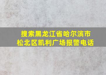 搜索黑龙江省哈尔滨市松北区凯利广场报警电话