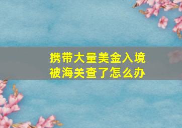 携带大量美金入境被海关查了怎么办