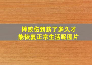 摔跤伤到筋了多久才能恢复正常生活呢图片