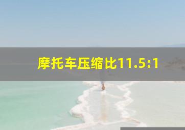 摩托车压缩比11.5:1