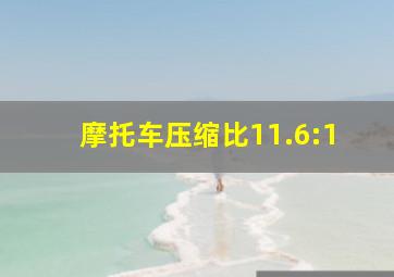 摩托车压缩比11.6:1