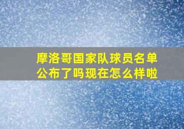 摩洛哥国家队球员名单公布了吗现在怎么样啦