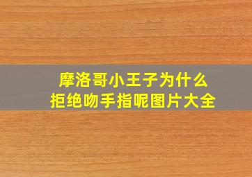 摩洛哥小王子为什么拒绝吻手指呢图片大全