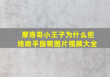 摩洛哥小王子为什么拒绝吻手指呢图片视频大全