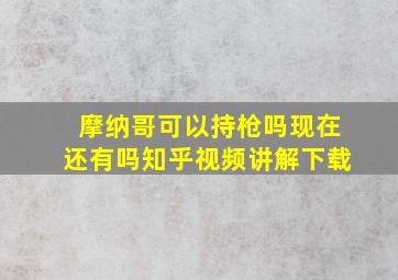 摩纳哥可以持枪吗现在还有吗知乎视频讲解下载