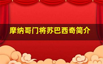 摩纳哥门将苏巴西奇简介