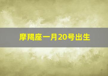 摩羯座一月20号出生