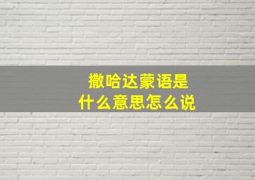 撒哈达蒙语是什么意思怎么说