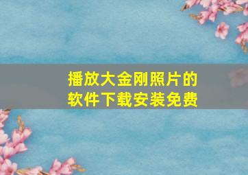 播放大金刚照片的软件下载安装免费