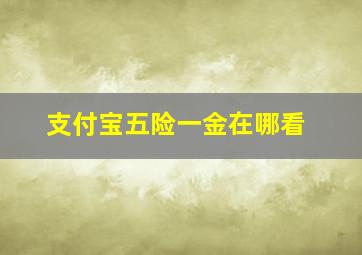 支付宝五险一金在哪看