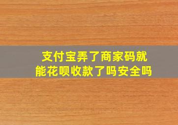 支付宝弄了商家码就能花呗收款了吗安全吗