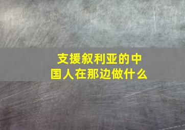 支援叙利亚的中国人在那边做什么