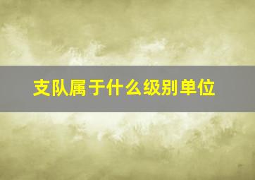 支队属于什么级别单位