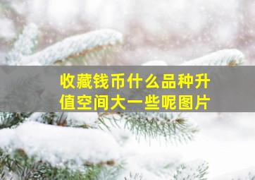 收藏钱币什么品种升值空间大一些呢图片