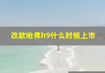 改款哈弗h9什么时候上市