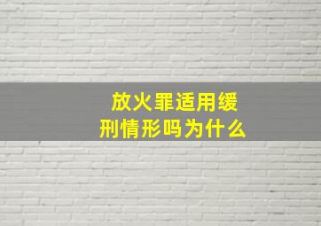 放火罪适用缓刑情形吗为什么