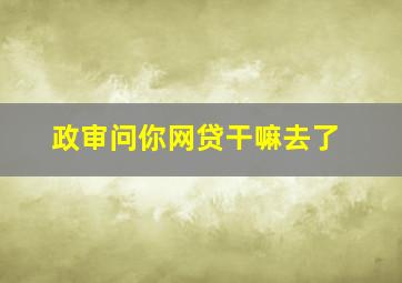 政审问你网贷干嘛去了