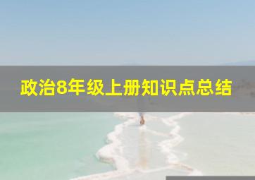 政治8年级上册知识点总结