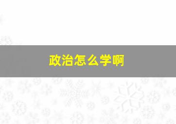 政治怎么学啊