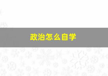 政治怎么自学