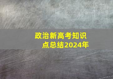 政治新高考知识点总结2024年