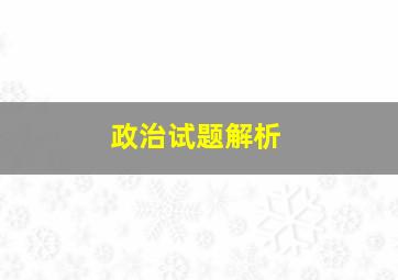 政治试题解析