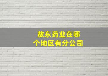 敖东药业在哪个地区有分公司