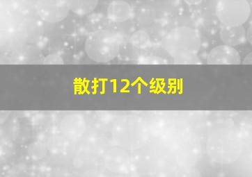 散打12个级别