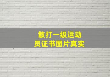 散打一级运动员证书图片真实