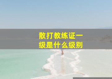 散打教练证一级是什么级别