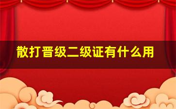 散打晋级二级证有什么用