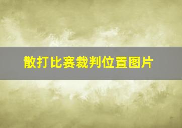 散打比赛裁判位置图片