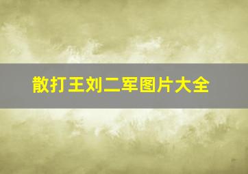 散打王刘二军图片大全