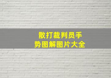 散打裁判员手势图解图片大全