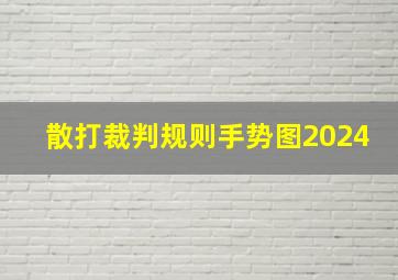 散打裁判规则手势图2024