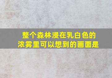 整个森林浸在乳白色的浓雾里可以想到的画面是