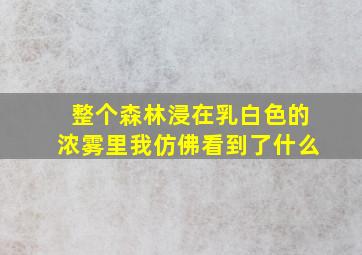 整个森林浸在乳白色的浓雾里我仿佛看到了什么