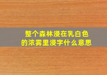 整个森林浸在乳白色的浓雾里浸字什么意思