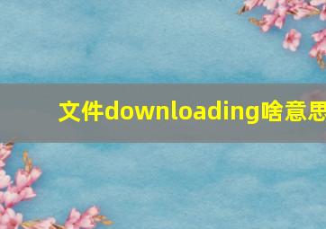 文件downloading啥意思