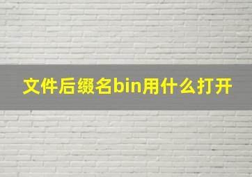 文件后缀名bin用什么打开