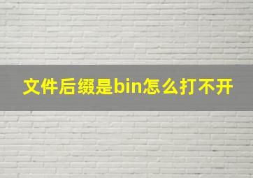 文件后缀是bin怎么打不开