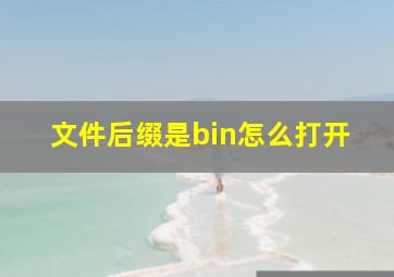 文件后缀是bin怎么打开