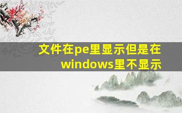 文件在pe里显示但是在windows里不显示