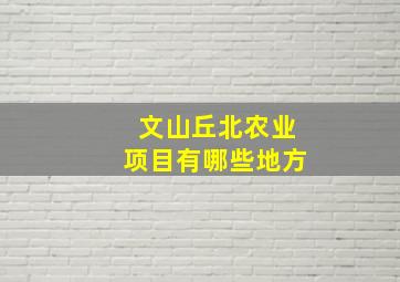 文山丘北农业项目有哪些地方