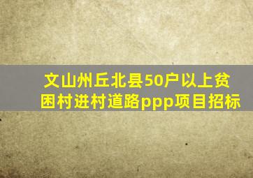 文山州丘北县50户以上贫困村进村道路ppp项目招标