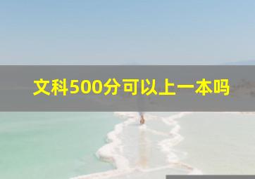 文科500分可以上一本吗